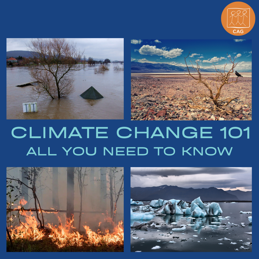 social-media-poster-climate-change-extreme-weather-events-in-india-cag